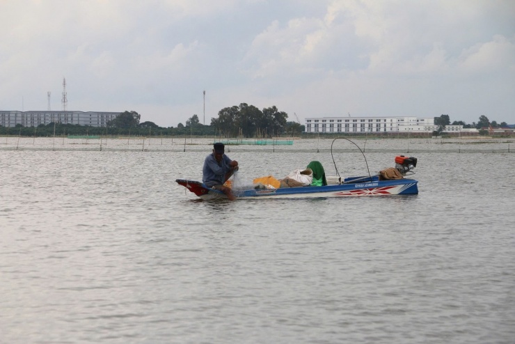 Cảnh mưu sinh nơi đầu nguồn lũ miền Tây - 1