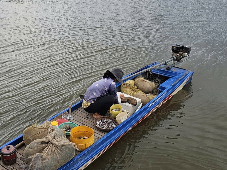 Cảnh mưu sinh nơi đầu nguồn lũ miền Tây - 3