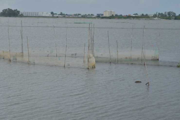 Cảnh mưu sinh nơi đầu nguồn lũ miền Tây - 7