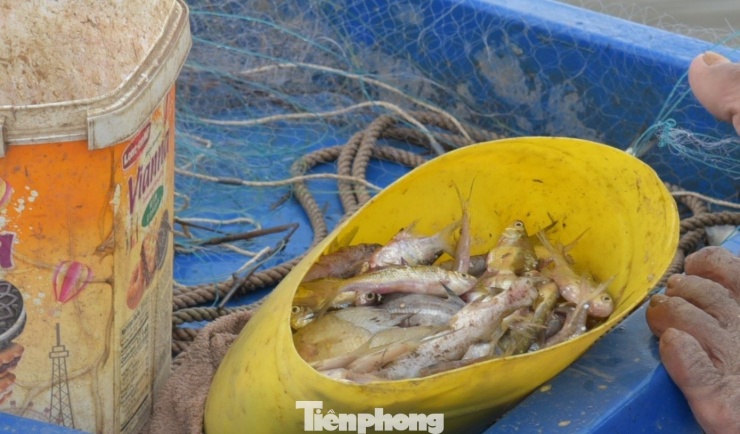 Cảnh mưu sinh nơi đầu nguồn lũ miền Tây - 8