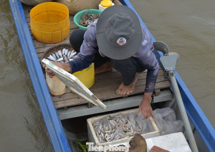 Cảnh mưu sinh nơi đầu nguồn lũ miền Tây - 9