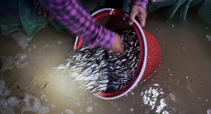 Cảnh mưu sinh nơi đầu nguồn lũ miền Tây - 12