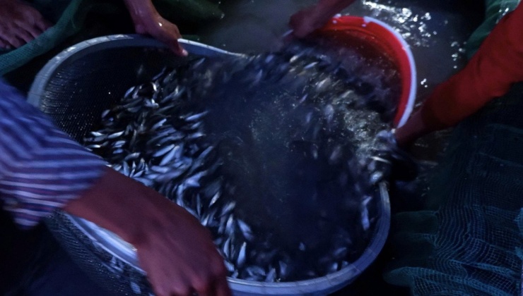 Cảnh mưu sinh nơi đầu nguồn lũ miền Tây - 13