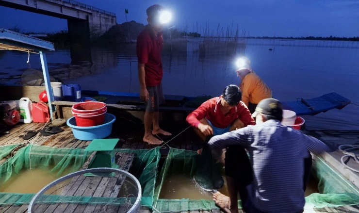 Cảnh mưu sinh nơi đầu nguồn lũ miền Tây - 14