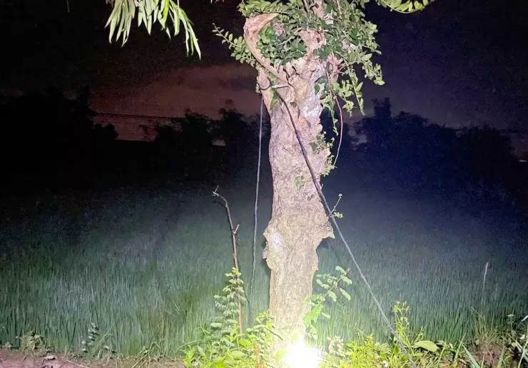 Hai người đàn ông tử vong nghi do bị điện giật.