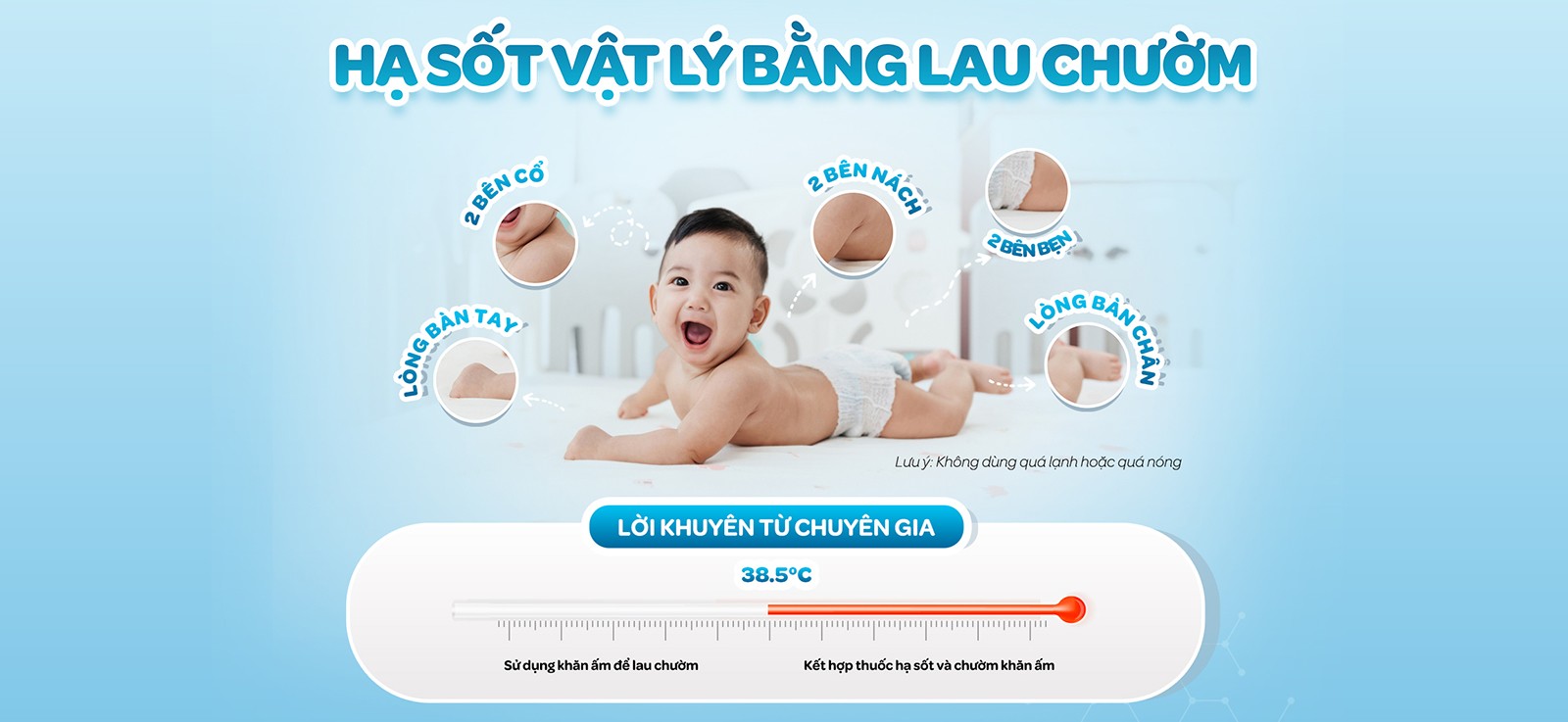 Thảo dược thiên nhiên: Từ bài thuốc dân gian đến khoa học trị sốt ở trẻ - 5
