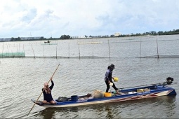 Tin tức trong ngày - Cảnh mưu sinh nơi đầu nguồn lũ miền Tây