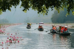Ăn - chơi - Hoa súng đầu thu ở Tam Cốc khiến du khách quên lối về