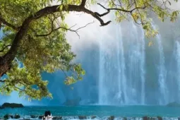 Chiêm ngưỡng thác Bản Giốc mùa Thu, chọn đi tour hay tự túc để trải nghiệm?