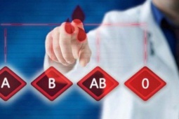 Phương pháp giảm cân theo nhóm máu: Người nhóm máu O nên ăn nhiều cá, nhóm máu B nên kiêng 4 loại thực phẩm này