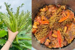 Ẩm thực - Loại hoa ít người biết đến, kho với cá vừa thơm vừa "tốn cơm"
