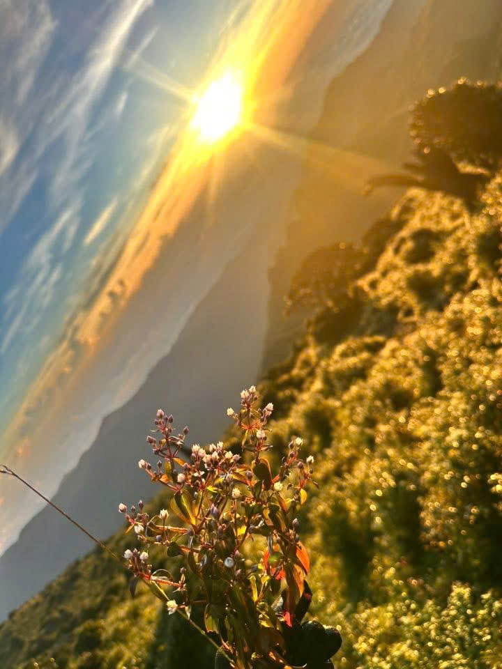 Bé gái 5 tuổi cùng mẹ chinh phục đỉnh Tà Chì Nhù cao gần 3.000m - 4