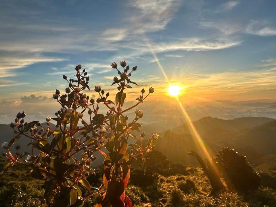 Bé gái 5 tuổi cùng mẹ chinh phục đỉnh Tà Chì Nhù cao gần 3.000m - 5