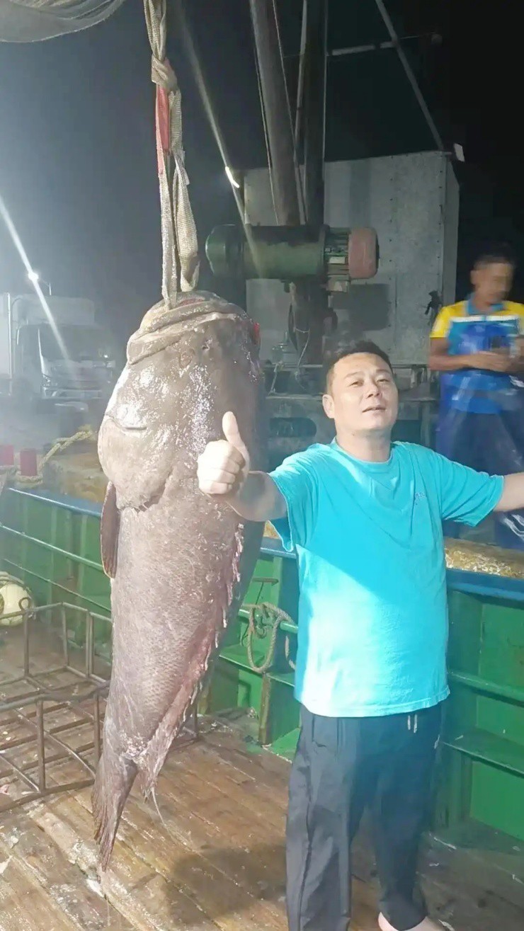 Giữa đêm bắt được “quái ngư” dài 1,8m, bán vội thu ngay trăm triệu - 1 Giữa đêm bắt được “quái ngư” dài 1,8m, bán vội thu ngay trăm triệu - 1