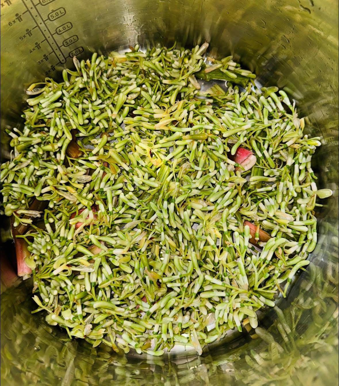 Lót dưới đáy nồi hoa riềng, cọng hoa và củ riềng già.
