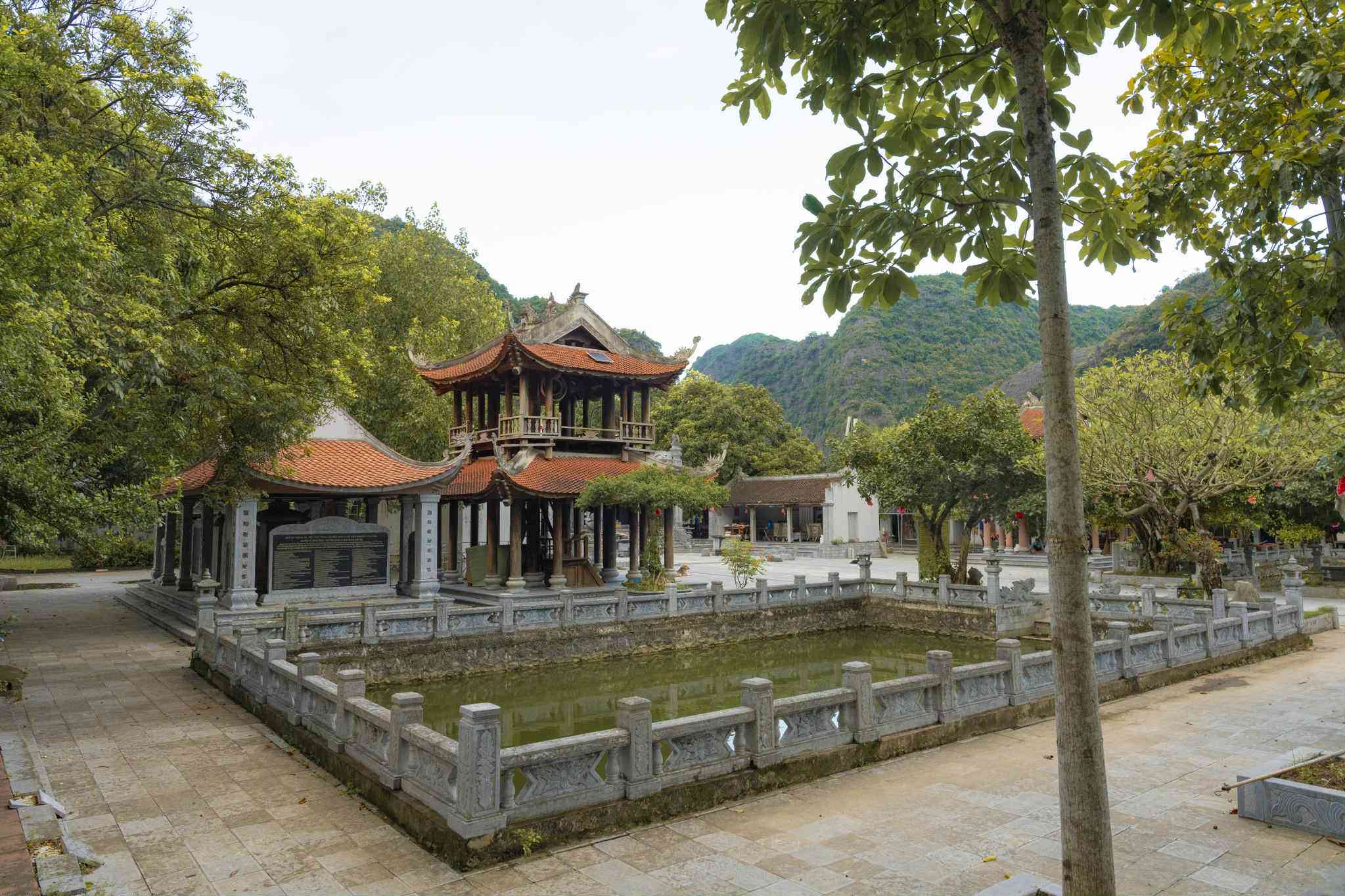 Hoa súng đầu thu ở Tam Cốc khiến du khách quên lối về - 5