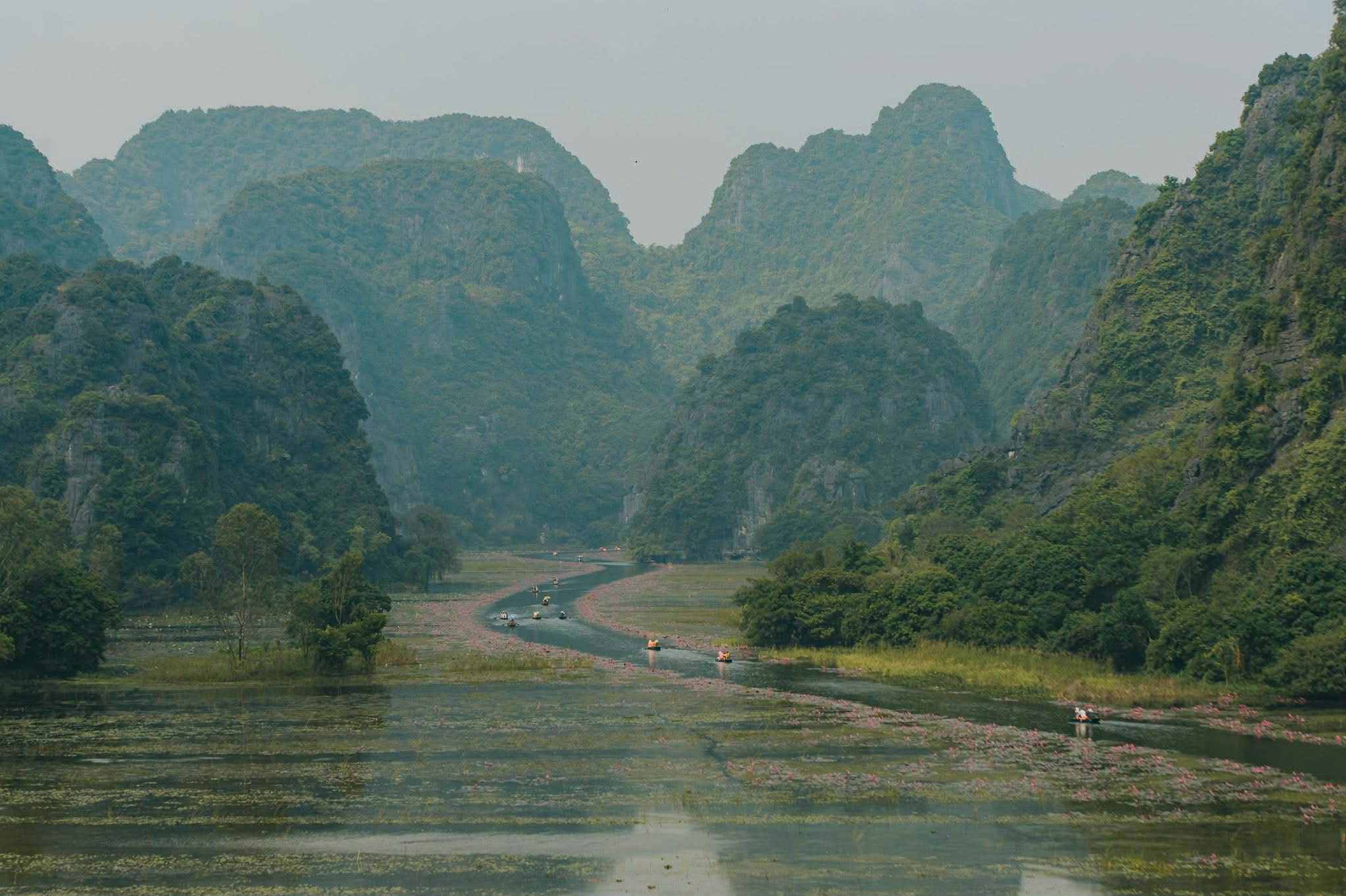 Hoa súng đầu thu ở Tam Cốc khiến du khách quên lối về - 8