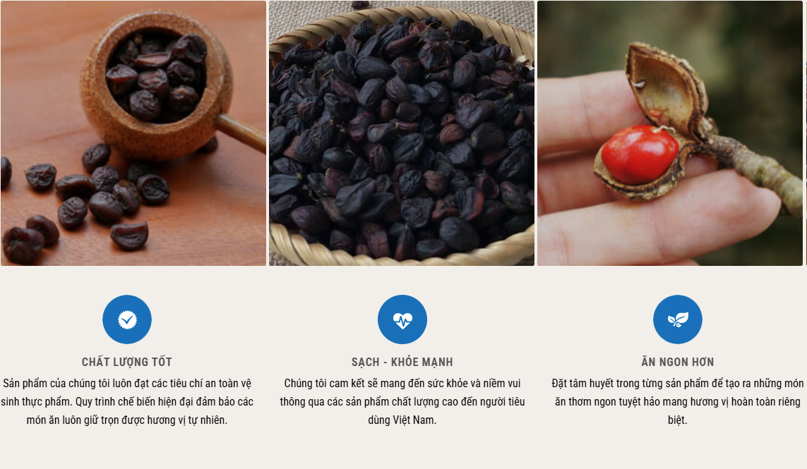 Hạt Dổi Rừng – Mang gia vị Tây Bắc chinh phục gian bếp Việt - 3