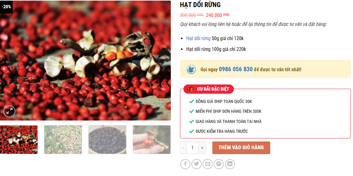 Hạt Dổi Rừng – Mang gia vị Tây Bắc chinh phục gian bếp Việt - 2