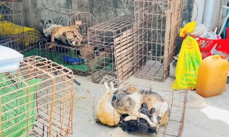 Tang vật liên quan vụ án. Ảnh: NGUYÊN KHANG