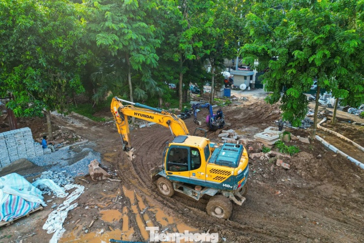 Cầu đi bộ hình cây đàn lạ trong công viên Nghĩa Đô - 8