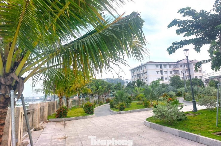 Phố đi bộ, công viên ven sông hình thành đẹp lãng mạn ở Thủ Dầu Một - 4
