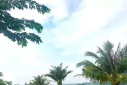 Phố đi bộ, công viên ven sông hình thành đẹp lãng mạn ở Thủ Dầu Một