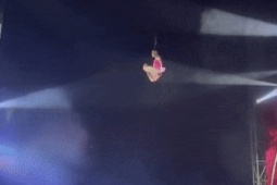 Giải trí - Vụ tai nạn trong rạp xiếc