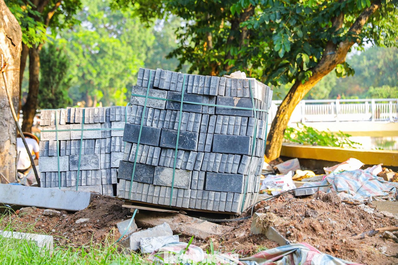 Cầu đi bộ hình cây đàn lạ trong công viên Nghĩa Đô - 10
