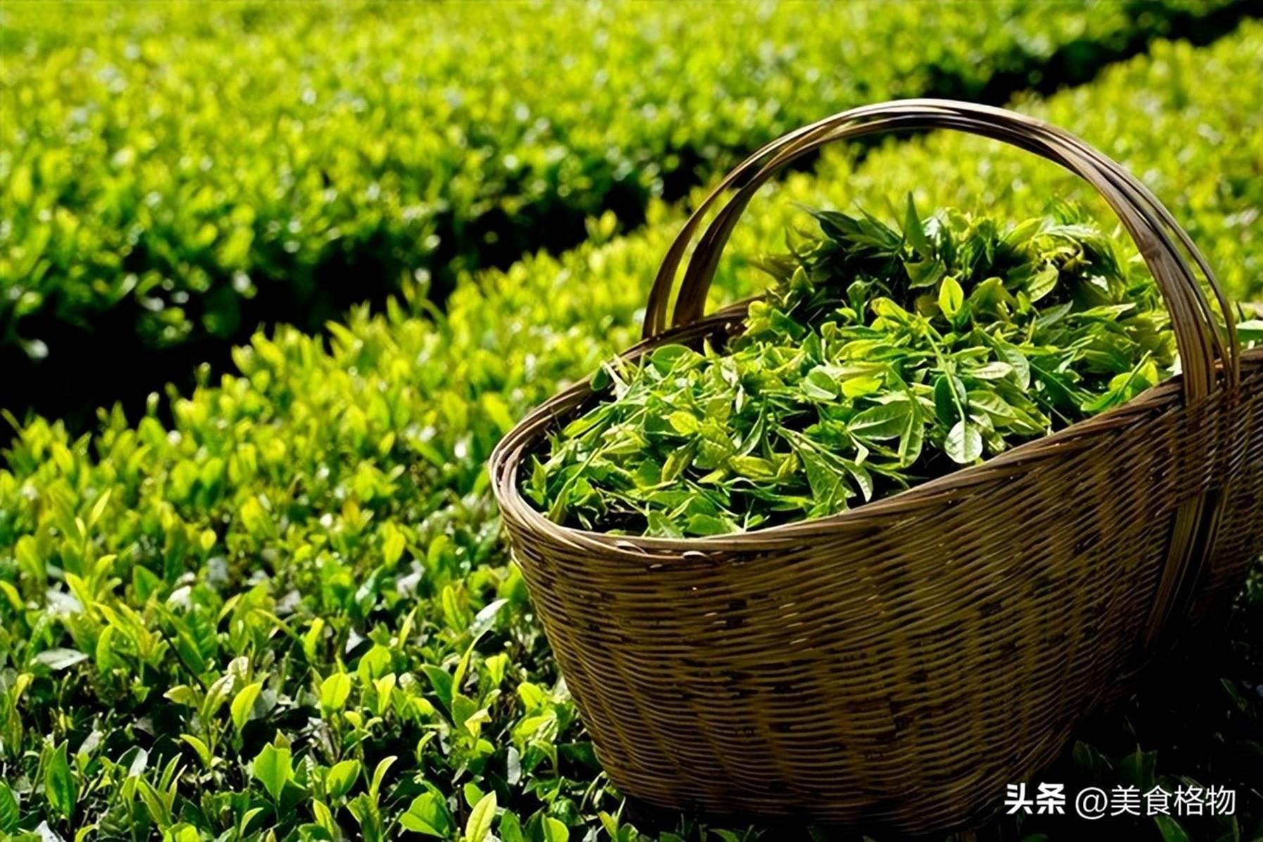 Bí quyết sống thọ của người Nhật: 10 loại thực phẩm “ăn hoài không ngán” - 7