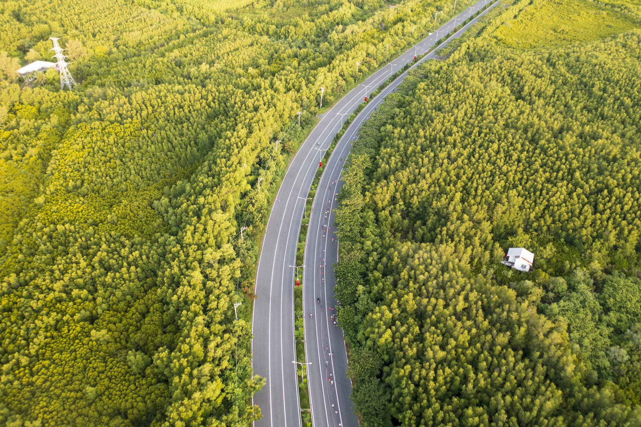 Cung đường diễn ra giải đấu xanh mướt đúng với cái tên “Lá phổi xanh” của TP.HCM. Cần Giờ được UNESCO công nhận là khu dự trữ sinh quyển thế giới đầu tiên của Việt Nam