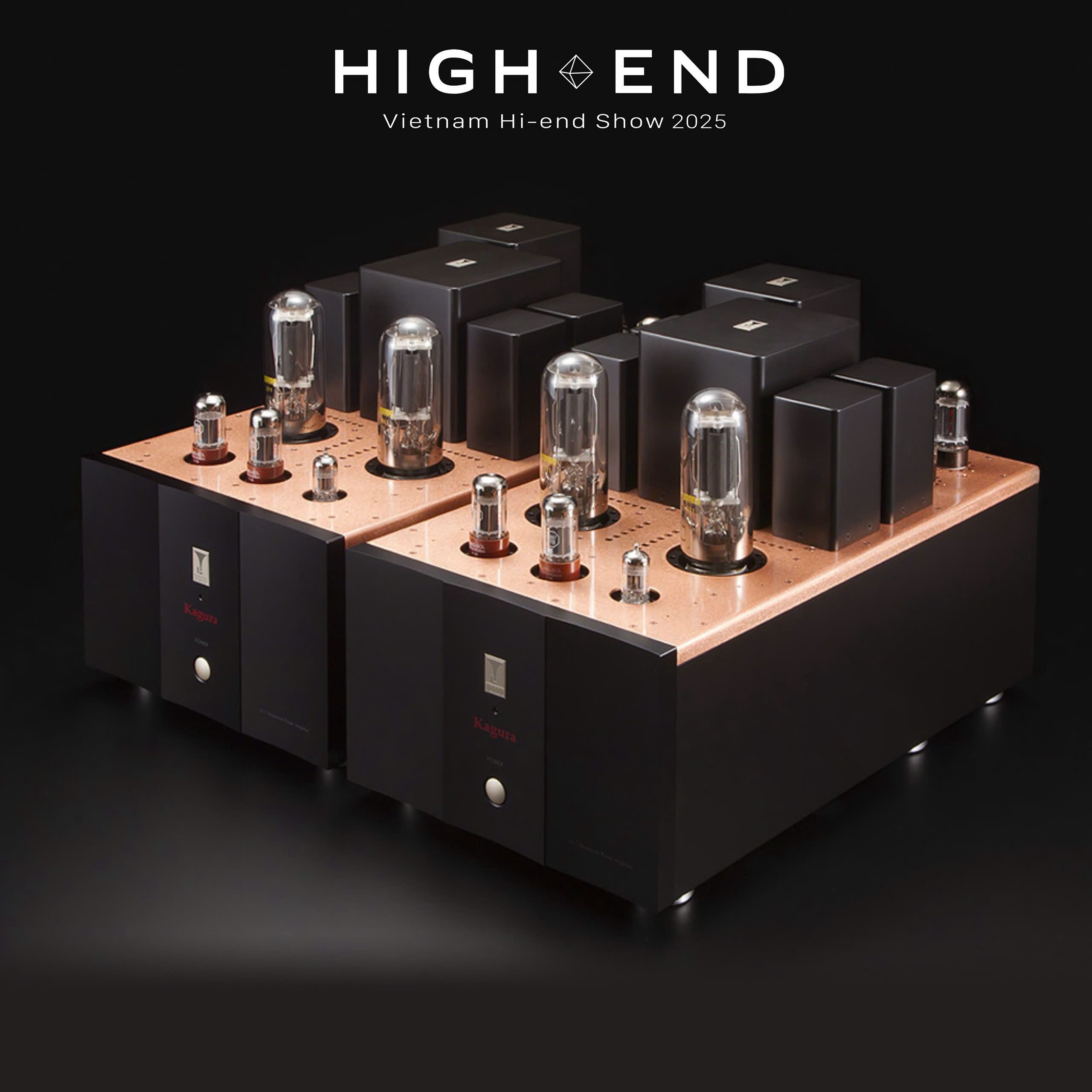 Vietnam High-end Show 2025: Lễ hội lớn nhất trong năm của giới chơi audio - 1