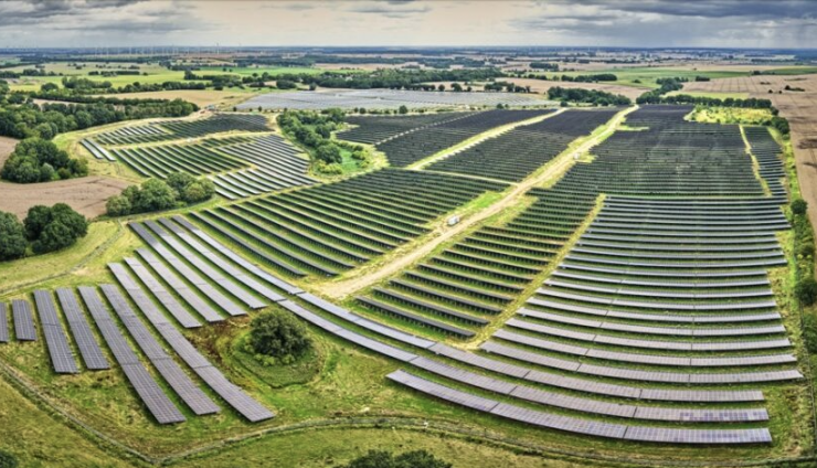 Cánh đồng điện mặt trời 93 ha hoạt động, xuất hiện điều bất ngờ dưới các tấm pin - 1