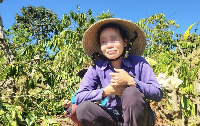 Bà G.P.T khóc nức nở sau khi bị anh rể phá hoại vườn cây