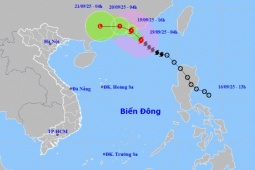 Cập nhật thông tin mới nhất về bão số 8
