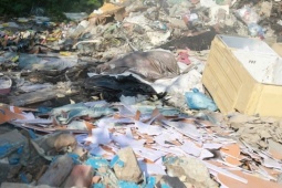 Tin tức trong ngày - Vụ mỹ phẩm tên nước ngoài lẫn trong rác thải ở Hà Nội: Hàng 'không cánh mà bay'?