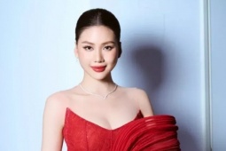 Khởi tố vụ án Hoa hậu Bùi Quỳnh Hoa bị vu khống