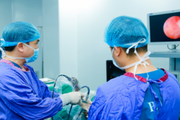 Sức khỏe đời sống - Phương pháp tán sỏi là gì, chỉ định cho ai?