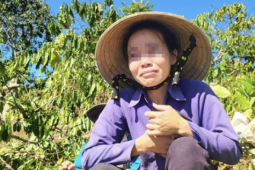 An ninh - Xã hội - Diễn biến bất ngờ vụ anh rể phá vườn cây "đòi quan hệ với em vợ"