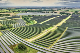 Thị trường - Tiêu dùng - Cánh đồng điện mặt trời 93 ha hoạt động, xuất hiện điều bất ngờ dưới các tấm pin