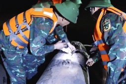 Tin tức trong ngày - Hai giờ trục vớt bom tấn gần cầu Long Biên