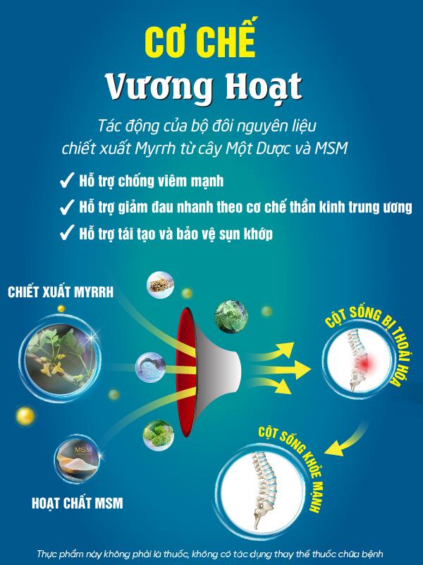 6 bài tập đơn giản tại nhà giúp ‘hồi sinh’ cột sống cổ, không tập sẽ hối hận - 7