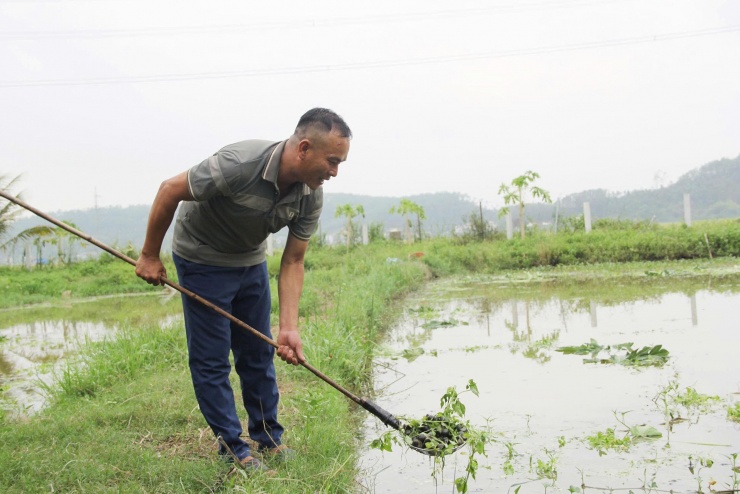 Anh Bảo bên vựa ao nuôi ốc bươu đen. Ảnh: T.Lương