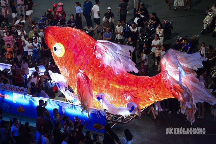Mô hình cá chép khổng lồ rực sáng giữa phố đêm, thu hút đông đảo người dân và du khách vây quanh chiêm ngưỡng, chụp hình.