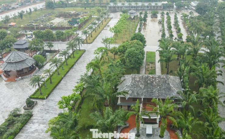 Cạnh đó là những ngôi nhà sàn, mái ngói cổ kính. Lọt thỏm giữa là hàng cây tươi tốt.