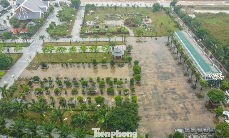 Phía sau khuôn viên, chủ nhân dinh thự còn bố trí khu vực chăm sóc cây cảnh, bonsai.