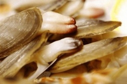 Thị trường - Tiêu dùng - Đặc sản ở Việt Nam nhìn "ngượng đỏ mặt", đến mùa dân bắt về bán 400.000 đồng/kg