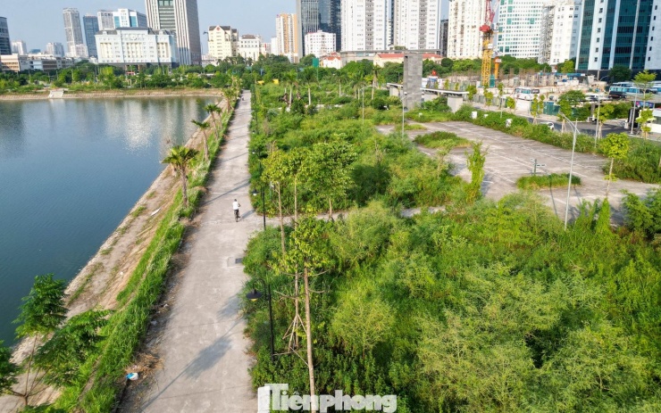 Các khu vực dành cho tập thể dục và vui chơi cũng bị cỏ dại xâm chiếm.