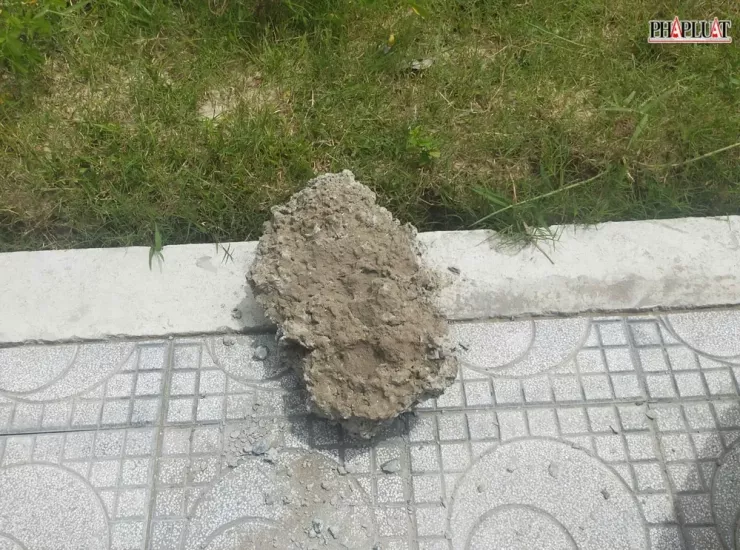 Hai tên trộm chó dùng đá chống trả quyết liệt để tẩu thoát. Ảnh: NDCC