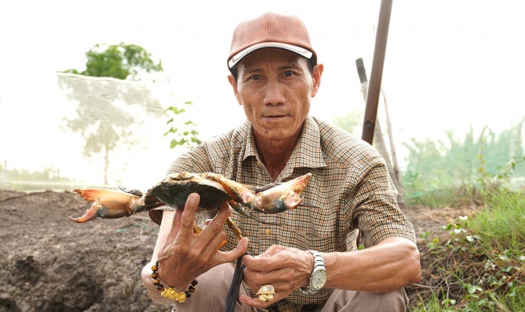 Ông Huỳnh Thanh Sự được vinh danh Nông dân Việt Nam xuất sắc năm 2025. Ảnh: T.L